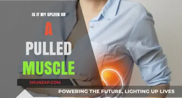 Spleen Pain or Pulled Muscle: How to Tell the Difference