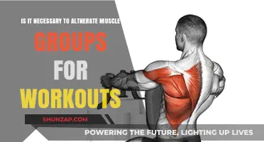 Should You Alternate Muscle Groups for Optimal Workout Results?