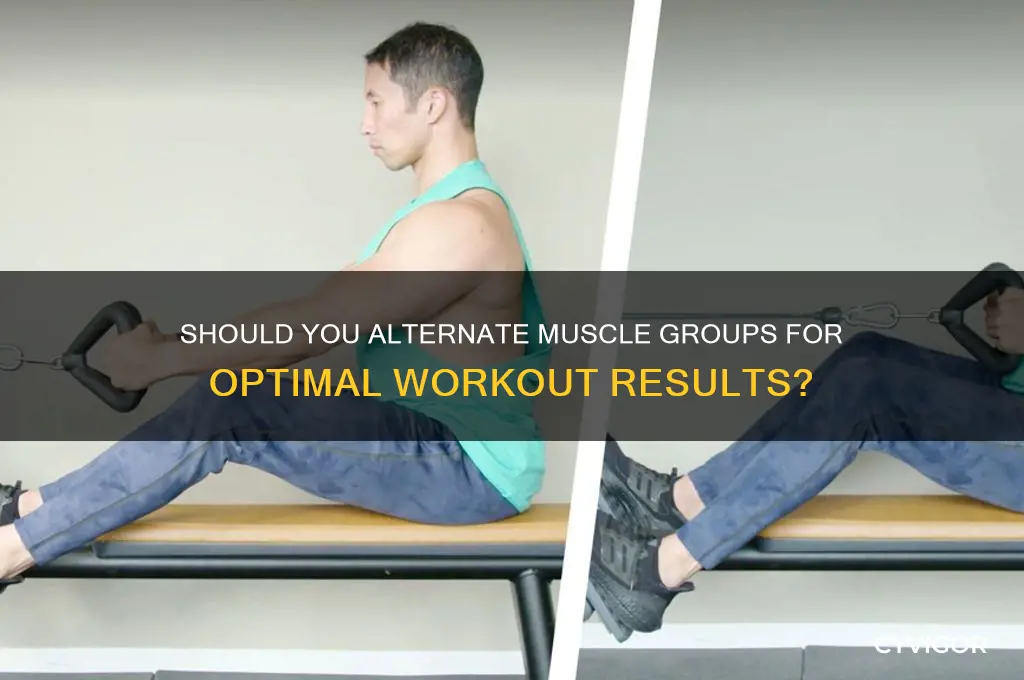 is it necessary to altnerate muscle groups for workouts