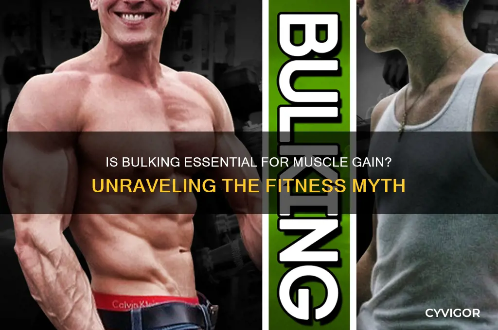 is it necessary to bulk to gain muscle