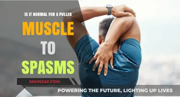 Pulled Muscle Spasms: Understanding Normal Recovery or Cause for Concern
