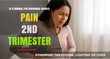 Is Abdominal Muscle Pain in the Second Trimester Normal?