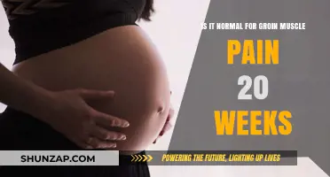 Is Groin Muscle Pain at 20 Weeks Pregnancy Normal?