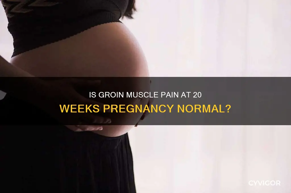 is it normal for groin muscle pain 20 weeks