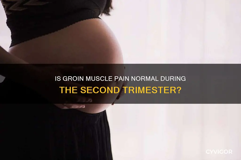is it normal for groin muscle pain 2nd trimester
