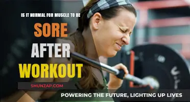 Is Post-Workout Muscle Soreness Normal? Understanding Delayed Onset Muscle Soreness