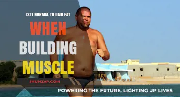 Muscle Building and Fat Gain: Understanding the Normal Process