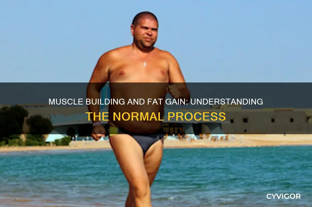 is it normal to gain fat when building muscle