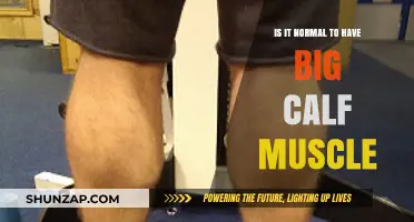 Exploring Calf Muscle Size: What's Normal and What's Not?