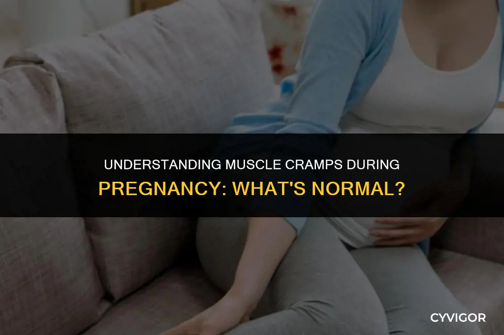 is it normal to have muscle cramps while pregnant