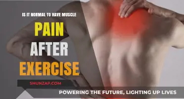 Is Post-Workout Muscle Pain Normal? Understanding Delayed Onset Soreness