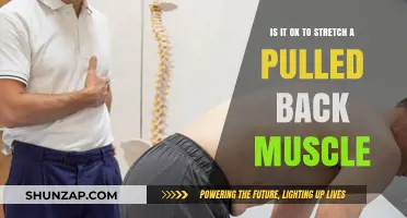 Pulled Back Muscle: Safe Stretching Tips for Healing and Relief
