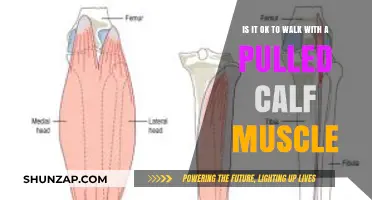 Pulled Calf Muscle: Safe Walking Tips for Recovery and Healing