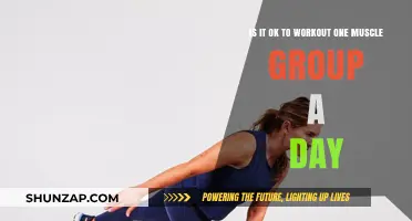 Is Isolating One Muscle Group Daily Effective for Strength Training?