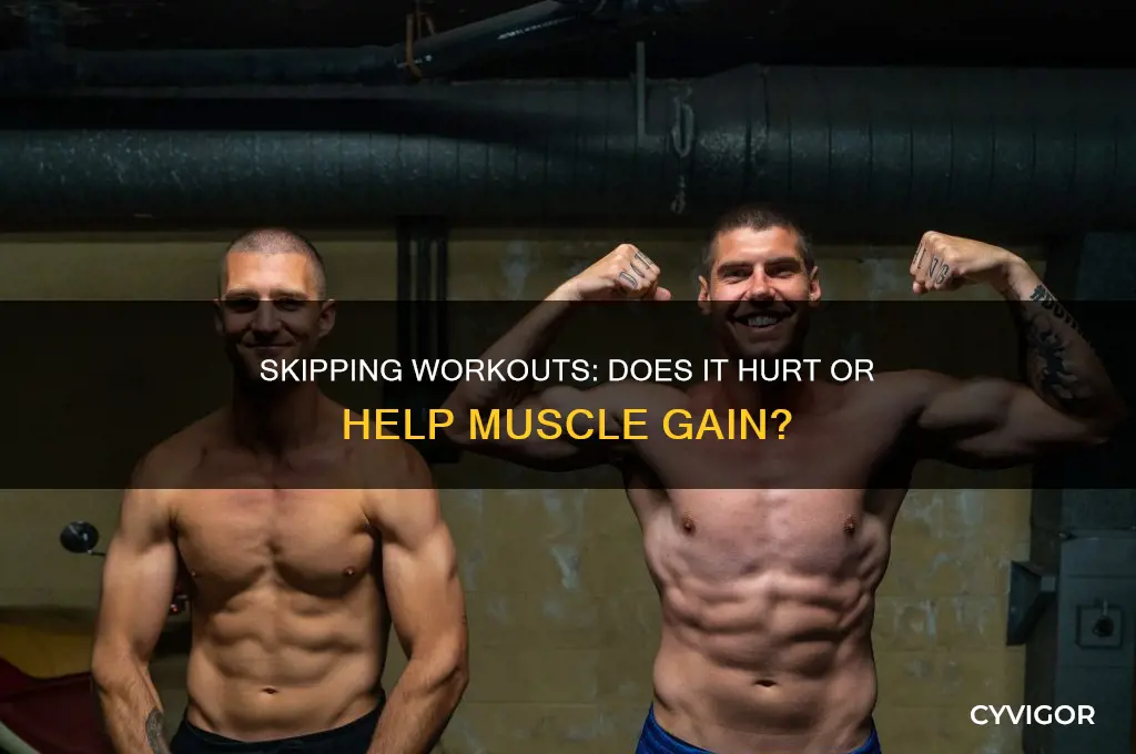 is it okay to skip a workout when gain muscle