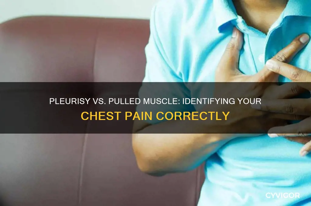 is it pleurisy or pulled muscle