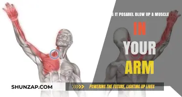 Can You Actually Blow Up an Arm Muscle? Facts Explained