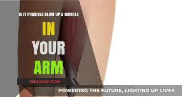 Can You Actually Blow Up an Arm Muscle? The Truth Revealed