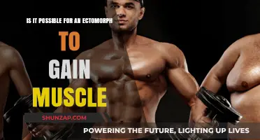 Ectomorph Muscle Gain: Strategies for Building Mass Effectively