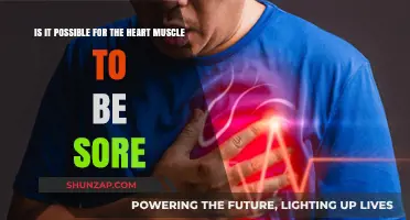 Can Your Heart Muscle Feel Sore? Understanding Cardiac Discomfort