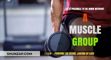 Can You Be Born Missing a Muscle Group? Exploring Rare Conditions