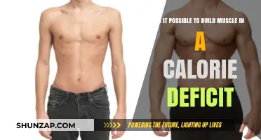 Can You Build Muscle While in a Calorie Deficit?