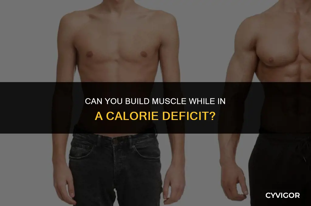 is it possible to build muscle in a calorie deficit