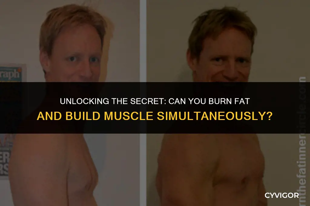 is it possible to burn fat and build muscle