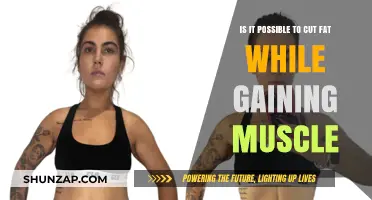 Can You Build Muscle and Burn Fat Simultaneously? The Truth Revealed