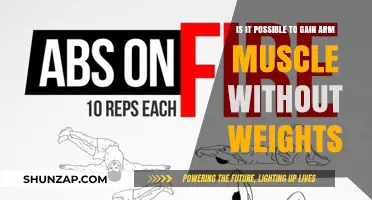 Building Arm Muscle Without Weights: Effective Bodyweight Strategies Revealed