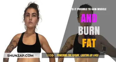Can You Build Muscle and Burn Fat Simultaneously? The Truth Revealed