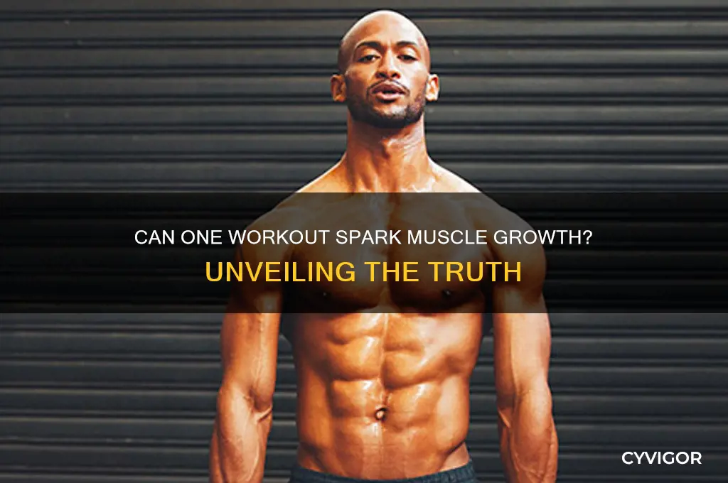 is it possible to gain muscle in 1 workout