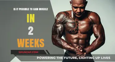 Can You Build Muscle in Just Two Weeks? The Truth Revealed