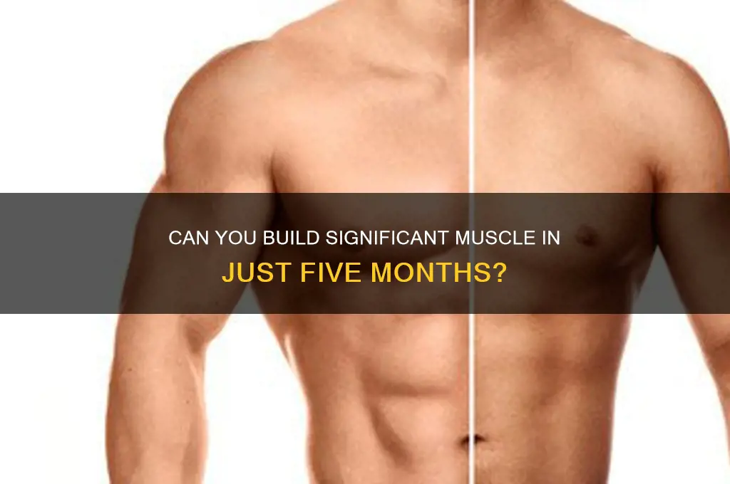 is it possible to gain muscle in 5 months