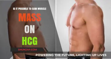 Can You Build Muscle Mass While on the HCG Diet?