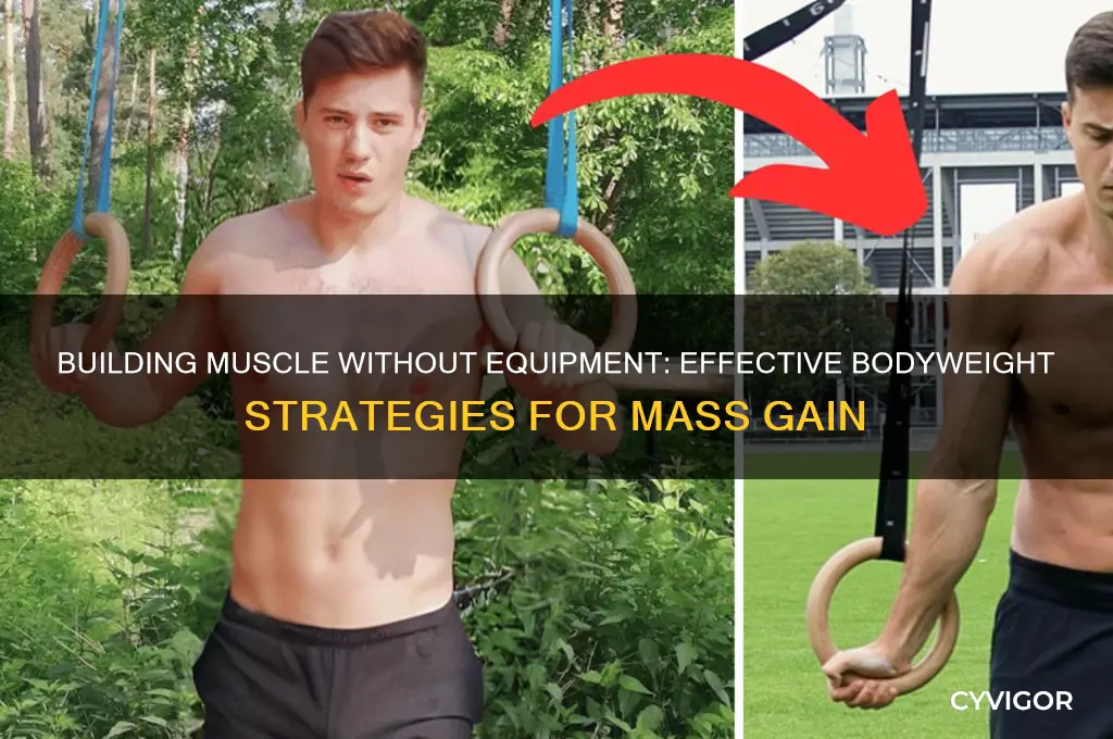 is it possible to gain muscle mass without equipment