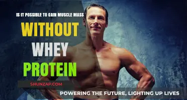Building Muscle Without Whey Protein: Natural Alternatives and Strategies