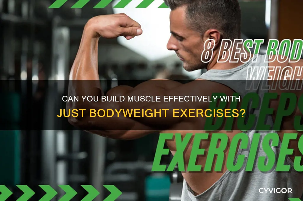 is it possible to gain muscle using only body weight