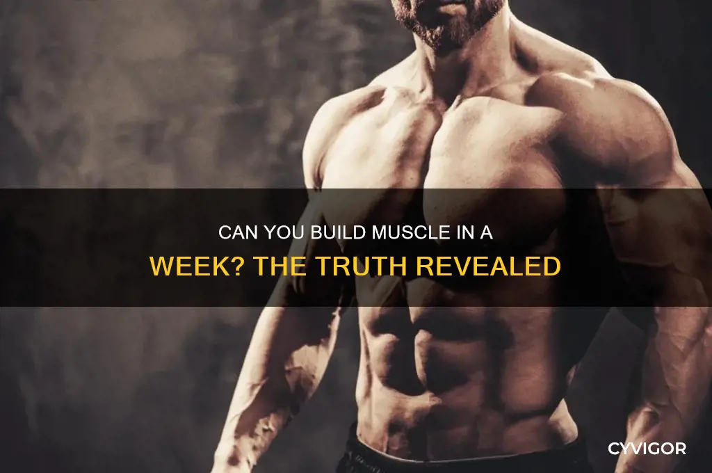 is it possible to gain muscle weight in a week