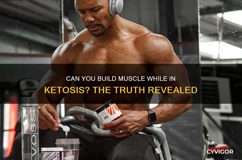 is it possible to gain muscle while in ketosis