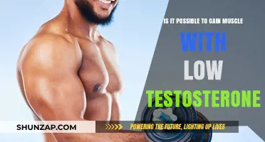 Building Muscle with Low Testosterone: Strategies for Effective Gains