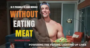 Can You Build Muscle on a Plant-Based Diet?