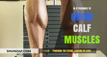 Can You Really Grow Your Calf Muscles? The Truth Revealed