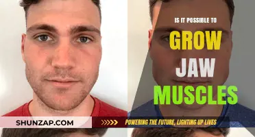 Can You Build a Stronger Jaw? Unlocking Facial Muscle Growth