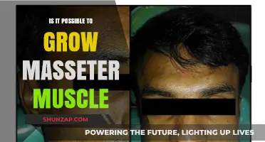 Can You Really Grow Your Masseter Muscle? Facts and Tips