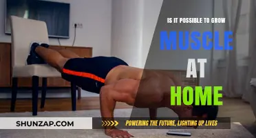Building Muscle at Home: Effective Strategies Without a Gym