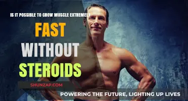 Can You Rapidly Build Muscle Without Steroids? The Truth Revealed