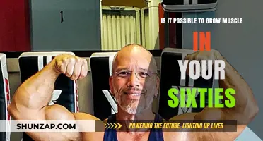 Building Muscle After 60: Myths, Realities, and Proven Strategies