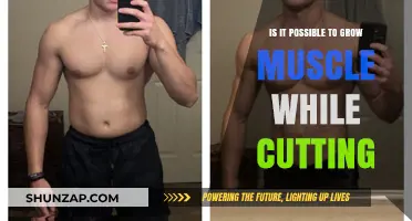 Can You Build Muscle While Cutting? The Science Explained