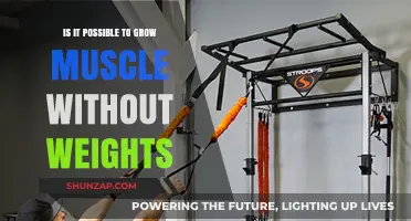 Building Muscle Without Weights: Effective Bodyweight Training Strategies Revealed